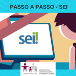 PASSO A PASSO SEI