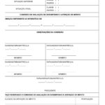 Decreto 37770 – Regulamenta a Promoção Funcional dos Servidores da Adm. do DF-09