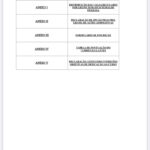 WhatsApp Image 2021-09-22 at 17.12.15 (5)