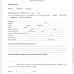 WhatsApp Image 2021-09-22 at 17.12.15 (9)