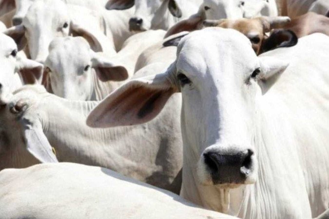 1__120887020_db87ff7f_de91_4bee_beaf_756bc040b342-6997980